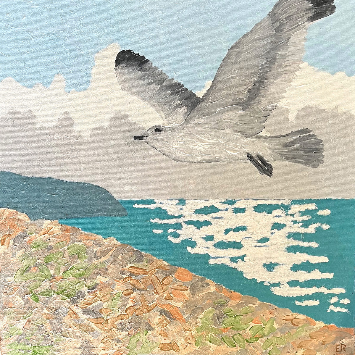 Il gabbiano Jonathan Livingston