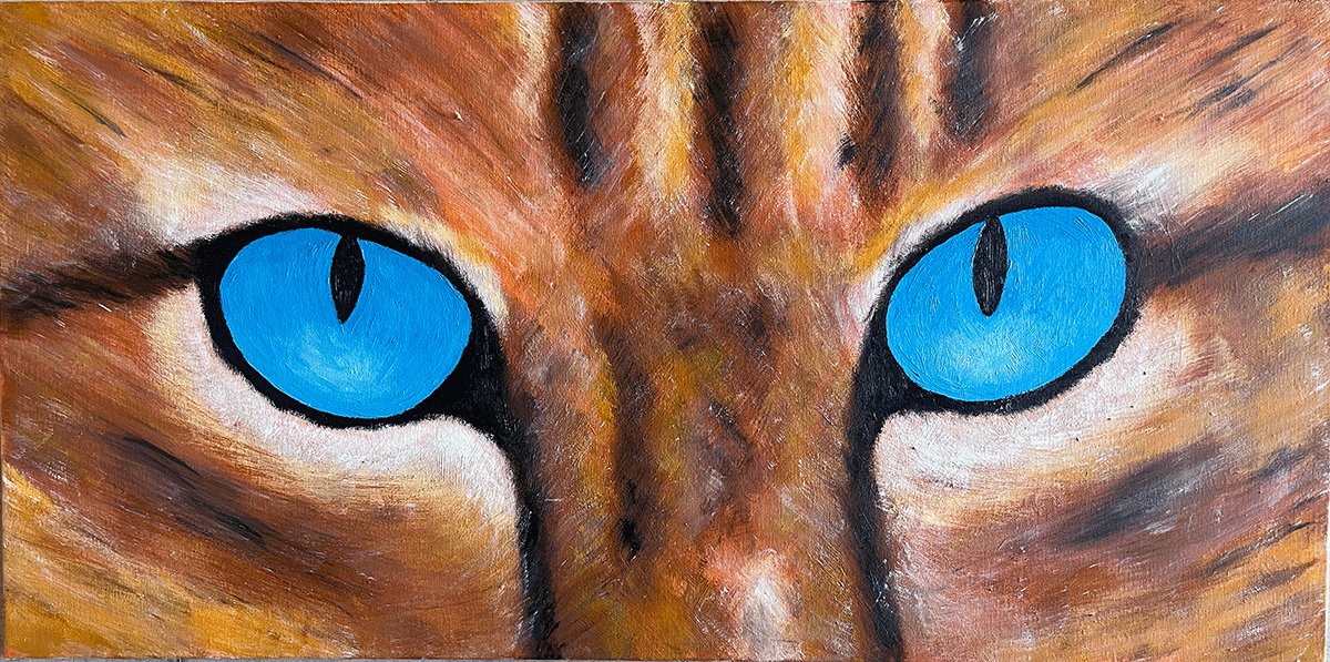 Il gatto